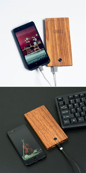 Stay Charged with the Phone Fast Charge Mobile Power Power Bank
